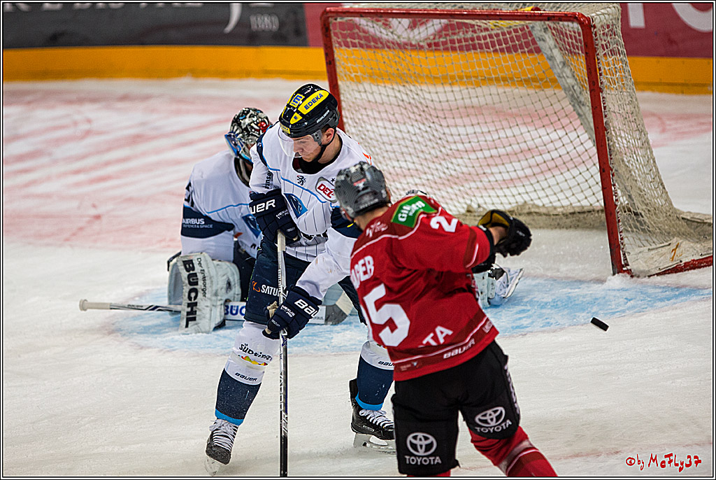 DEL, Koelner Haie - ERC Ingolstadt, 20.01.2017